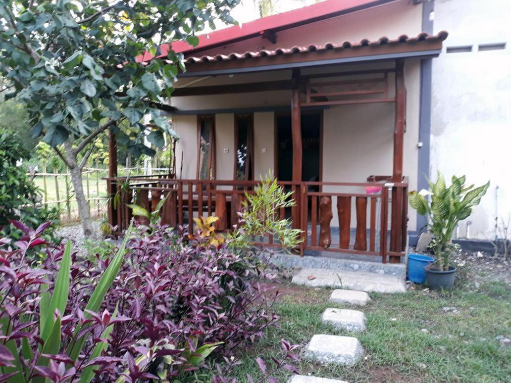 Red Island Bungalows Pasanggaran Номер фото